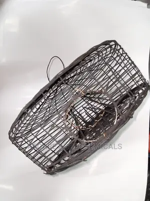 Mechanical Draft Rat Trap