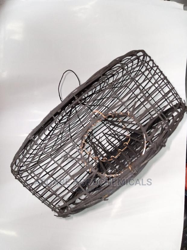 Mechanical Draft Rat Trap - main view