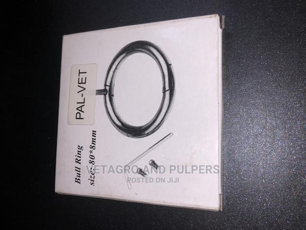 Cattle Bull Rings - thumbnail 7