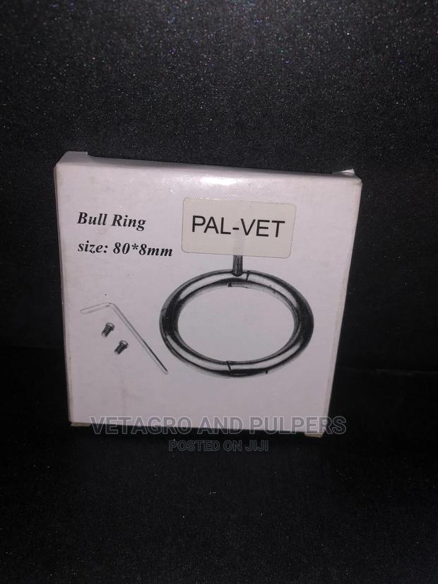 Cattle Bull Rings - thumbnail 3