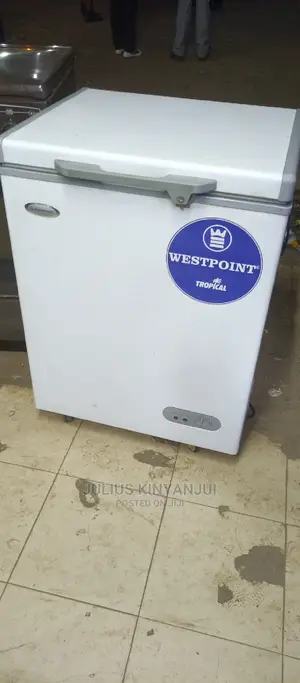 Mini Freezer 110L