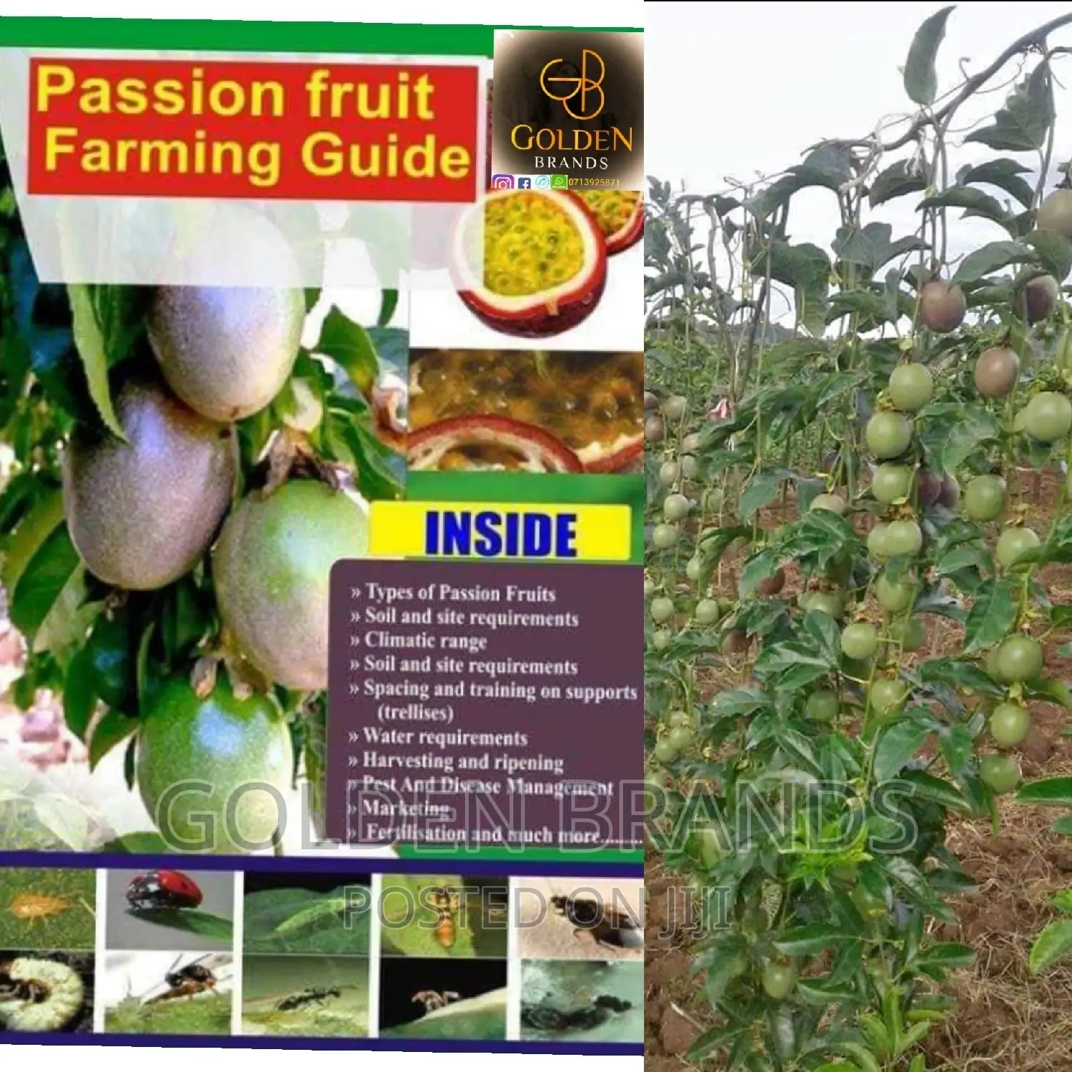 Passion Fruits Farming Guide Book