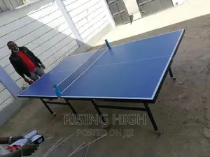 Cool Unique Top Best Brand Foldable Table Tennis