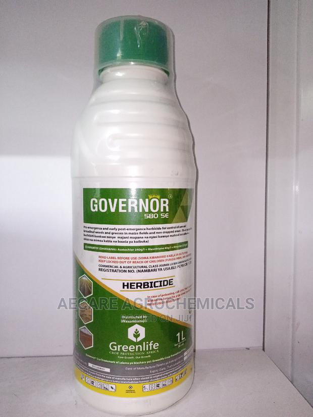 Governor 580 SE Selective Herbicide for Maize 1litre