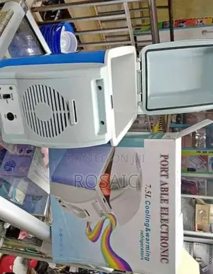 Car Fridge*