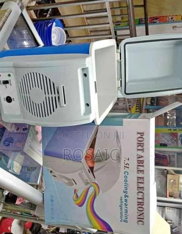 Car Fridge*
