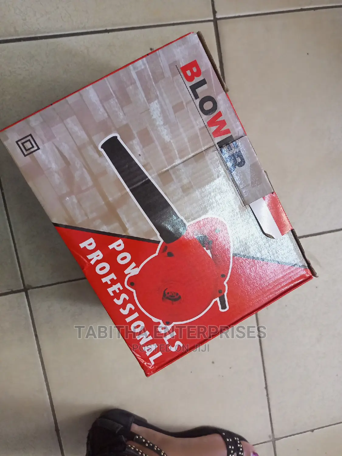 Power Tool Blower