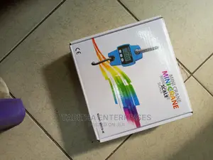 Mini Crane Scale