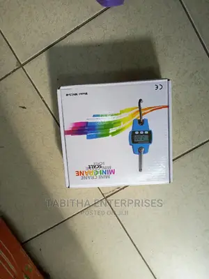 Digital Hanging Scale