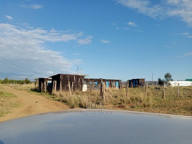 Narumoru Prime Plots - thumbnail 3