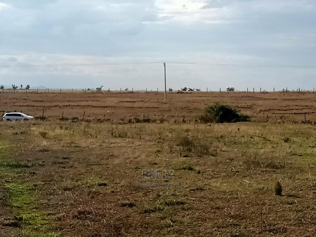 Narumoru Prime Plots - thumbnail 4