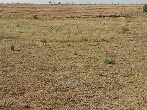 Narumoru Prime Plots - thumbnail 2