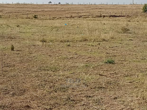 Narumoru Prime Plots - main view