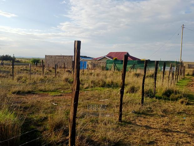 Narumoru Prime Plots - thumbnail 8