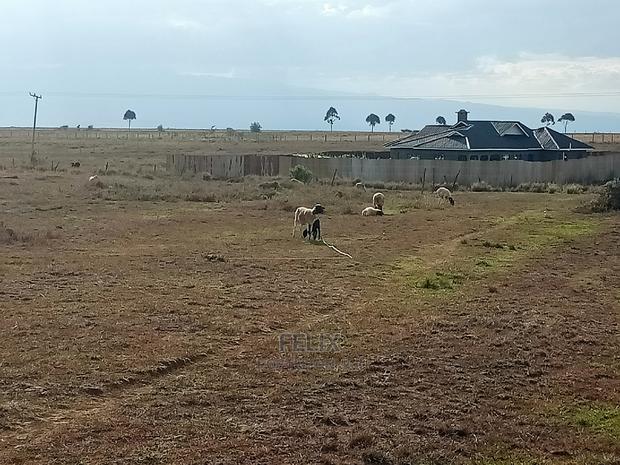 Narumoru Prime Plots - thumbnail 9