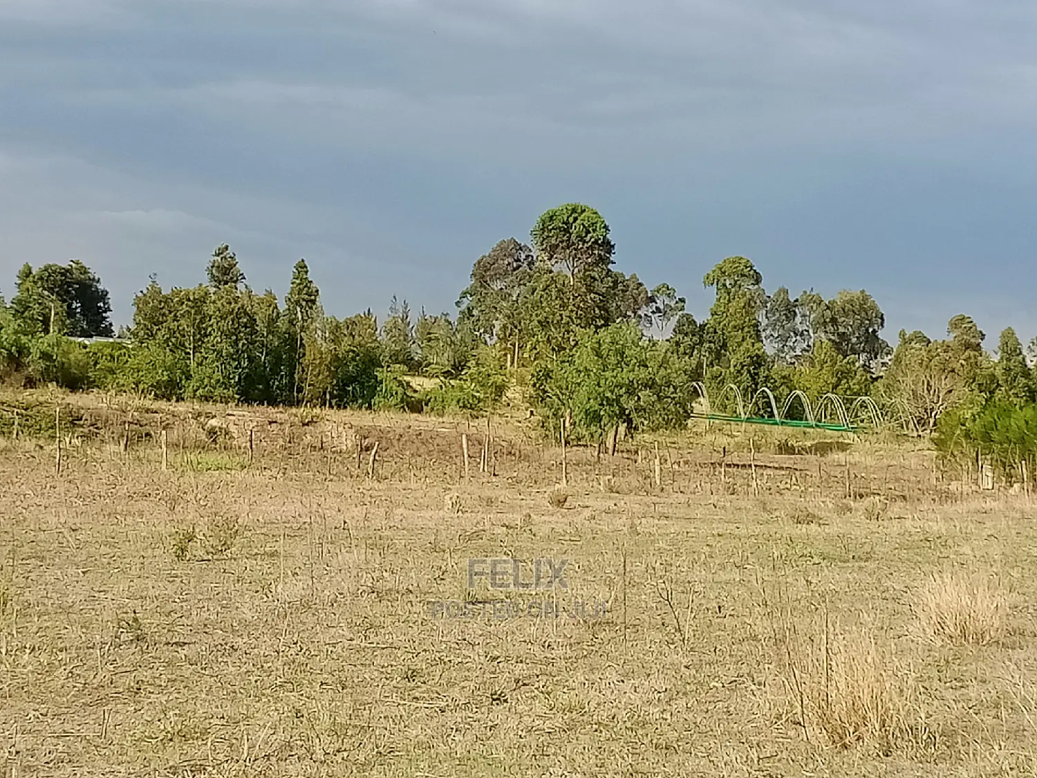 Narumoru Prime Plots in Kieni Land & Plots for Sale, Felix Wanjohi