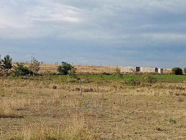 Narumoru Prime Plots - thumbnail 5