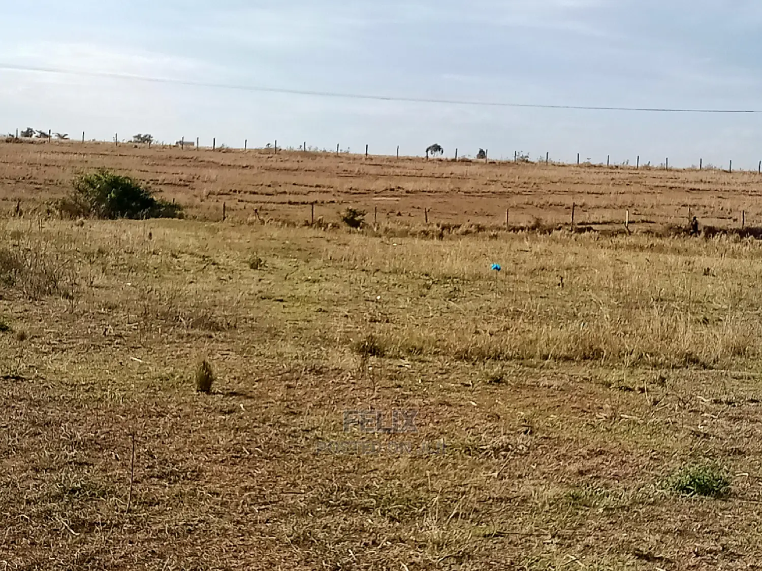 Narumoru Prime Plots in Kieni Land & Plots for Sale, Felix Wanjohi