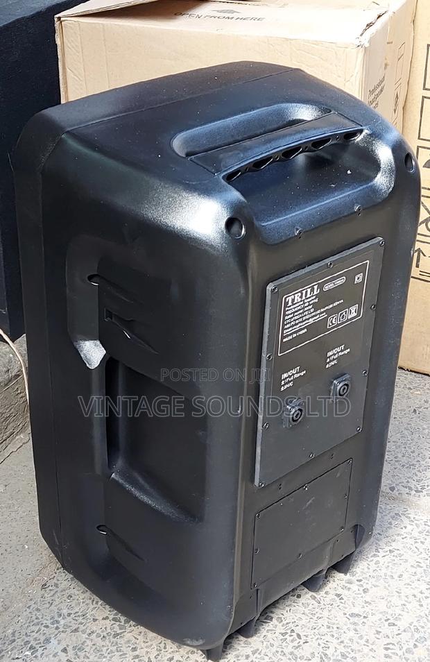 15inch Midrange Professional Speaker - thumbnail 2