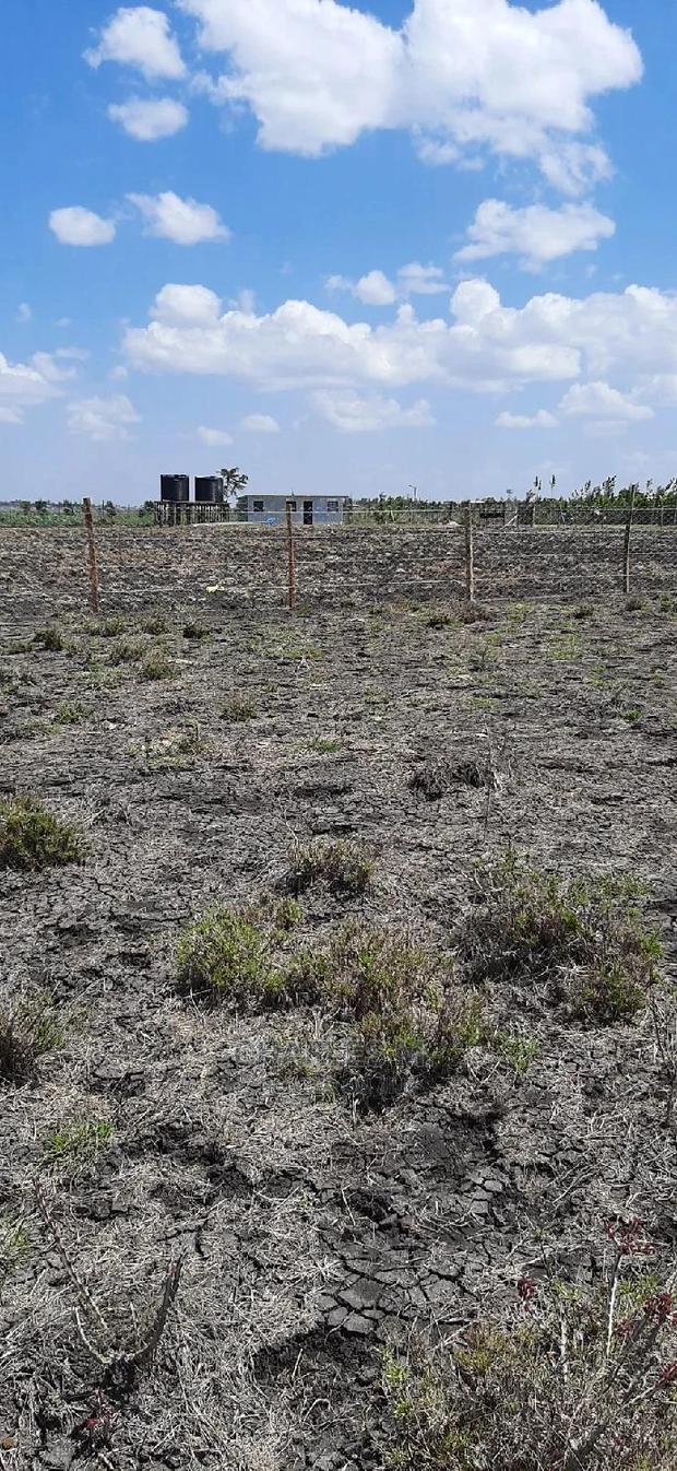 3acres in Kipeto Each Acre 2.5; Selling as a Block. - thumbnail 5