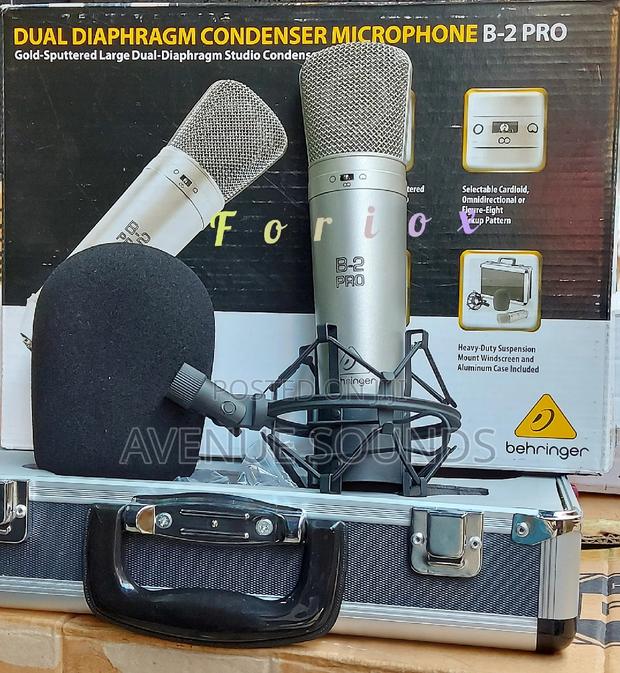 B2 Pro Studio Condenser Microphone