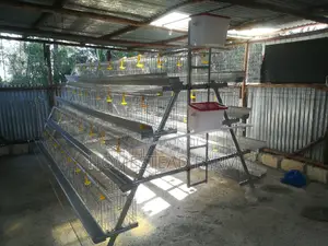 384 Birds Galvanized Layer Cages.
