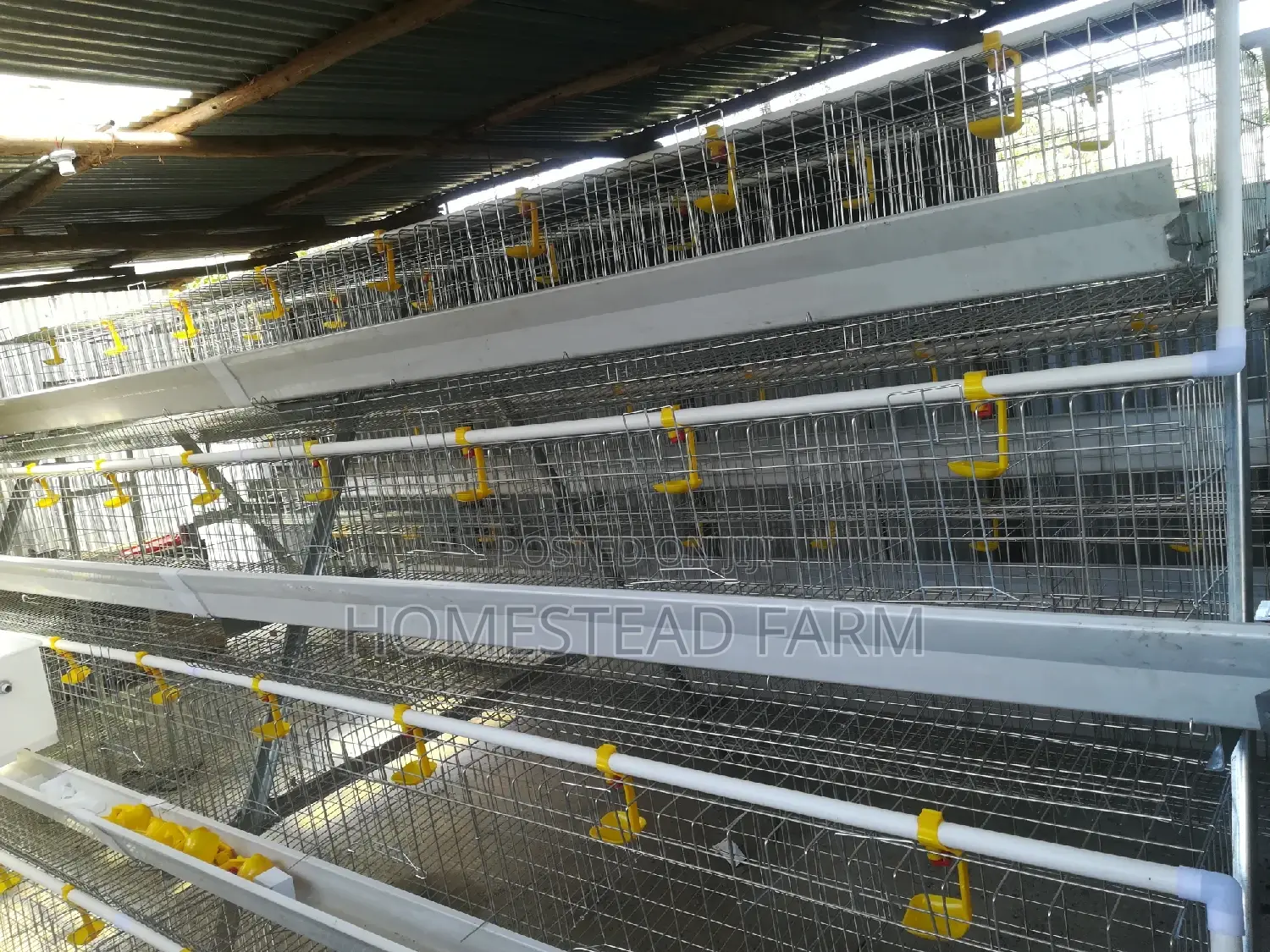256 Layer Galvanized Layer Cages Available