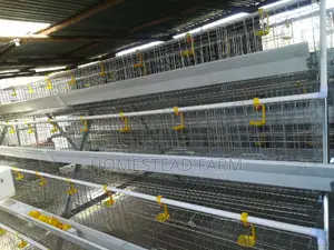 256 Layer Galvanized Layer Cages Available