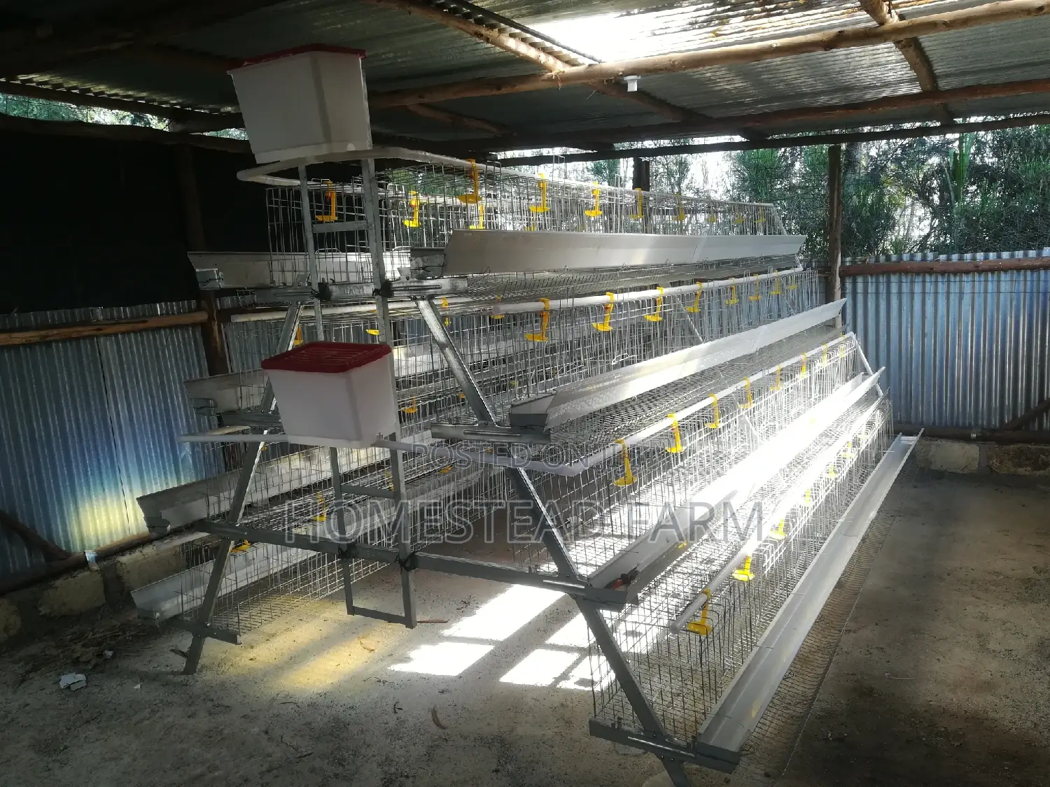 256 Layer Galvanized Layer Cages Available
