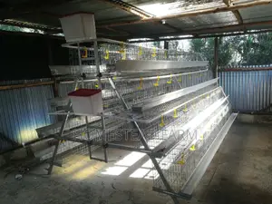 256 Layer Galvanized Layer Cages Available