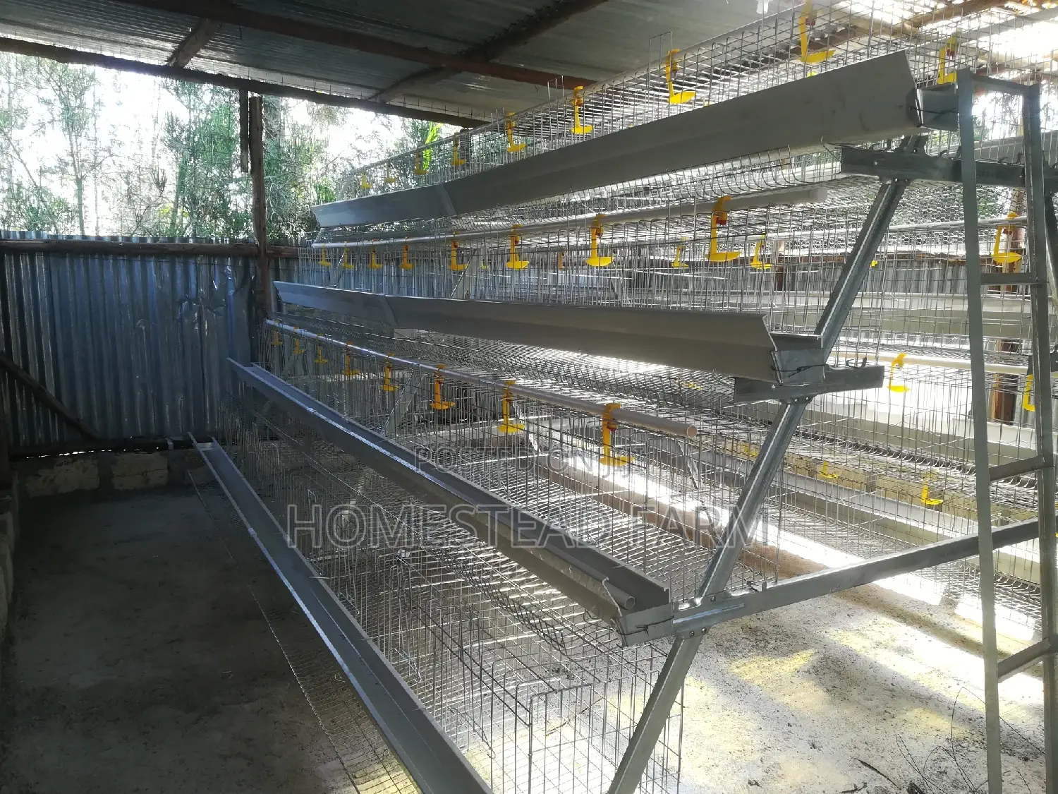 256 Layer Galvanized Layer Cages Available