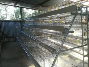 256 Layer Galvanized Layer Cages Available