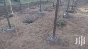 1 Acre Orchard Drip Irrigation