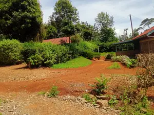 Karatina/50/100 Karindundu
