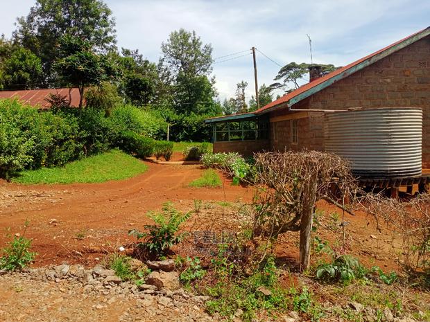 Karatina/50/100 Karindundu - thumbnail 3