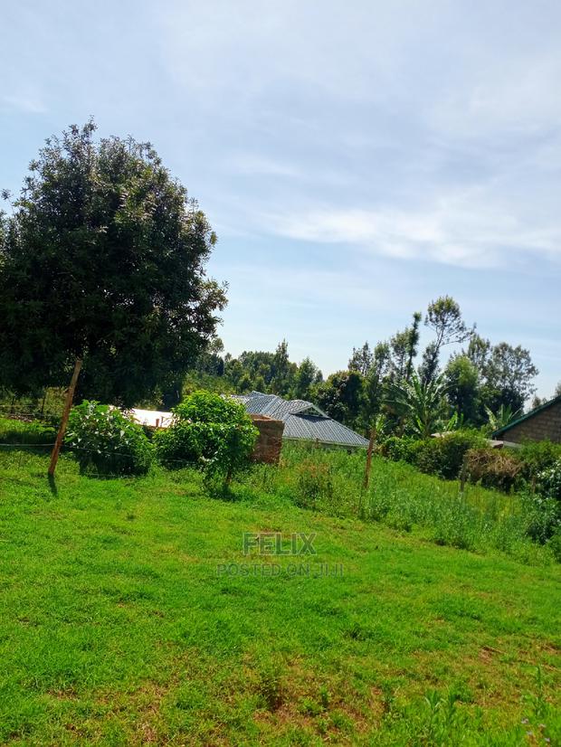 Karatina/50/100 Karindundu - thumbnail 4