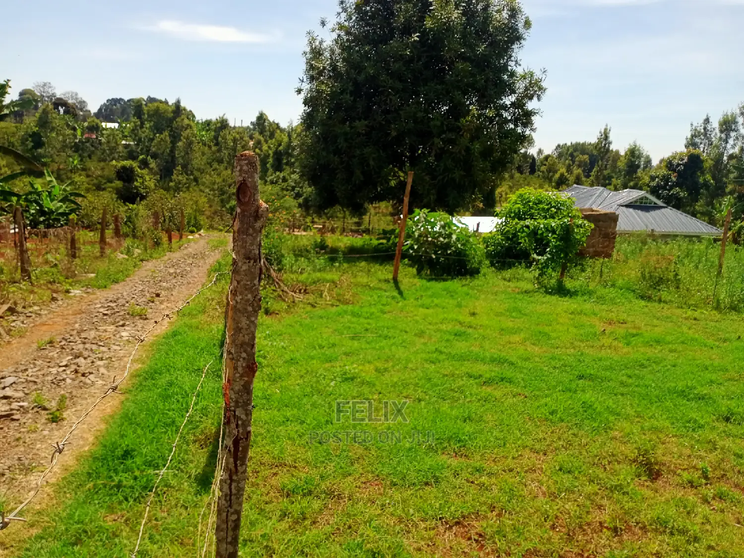 Karatina/50/100 Karindundu
