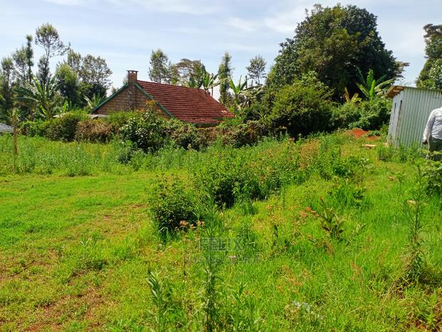 Karatina/50/100 Karindundu - thumbnail 6