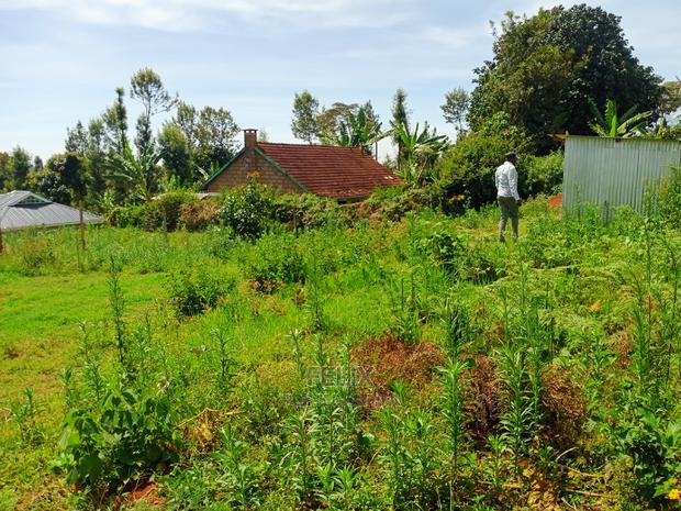 Karatina/50/100 Karindundu - thumbnail 12