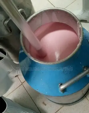 Dairy Processing Yoghurt, Mala Cheese Consultant