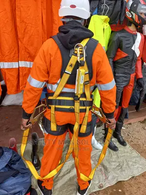 Safety Harness Full Body Panacea