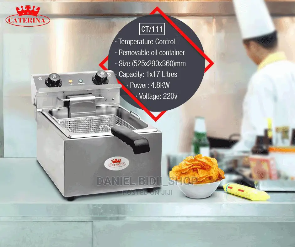 Caterina Deep Fryer Prices Below Ct109 10ltrs