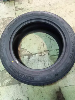 255/55r19 Blackhawk Tyre