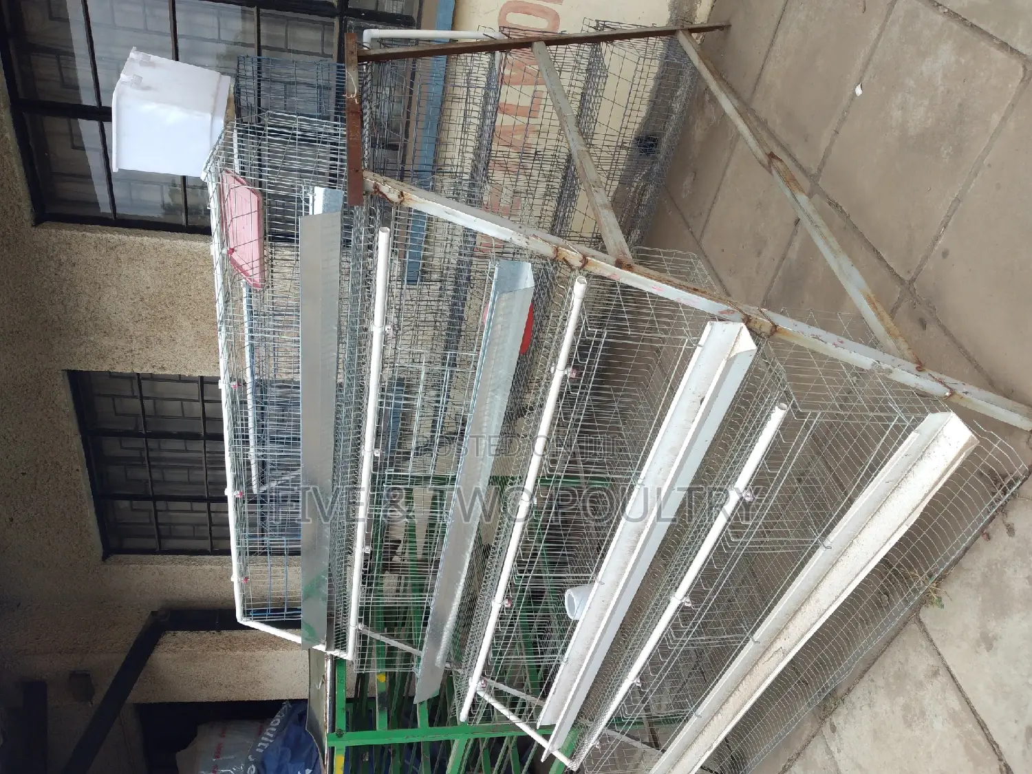 128birds Cages