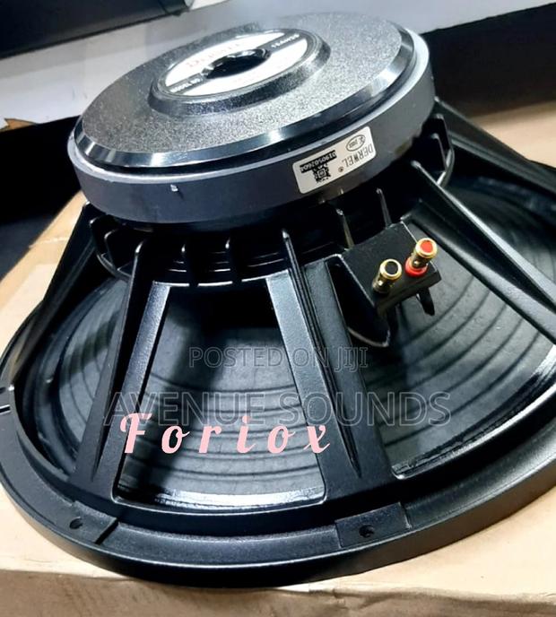 Derwel 15inch Midrange Naked Speaker