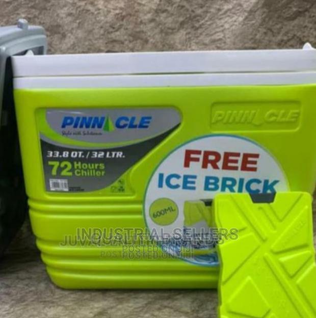 Pinnacle Special Preservative Cooler Box