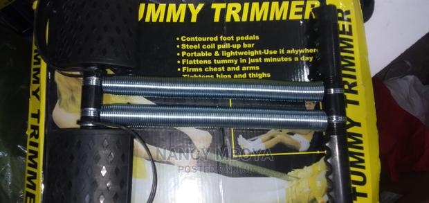 Double Springs Tummy Trimmer - main view
