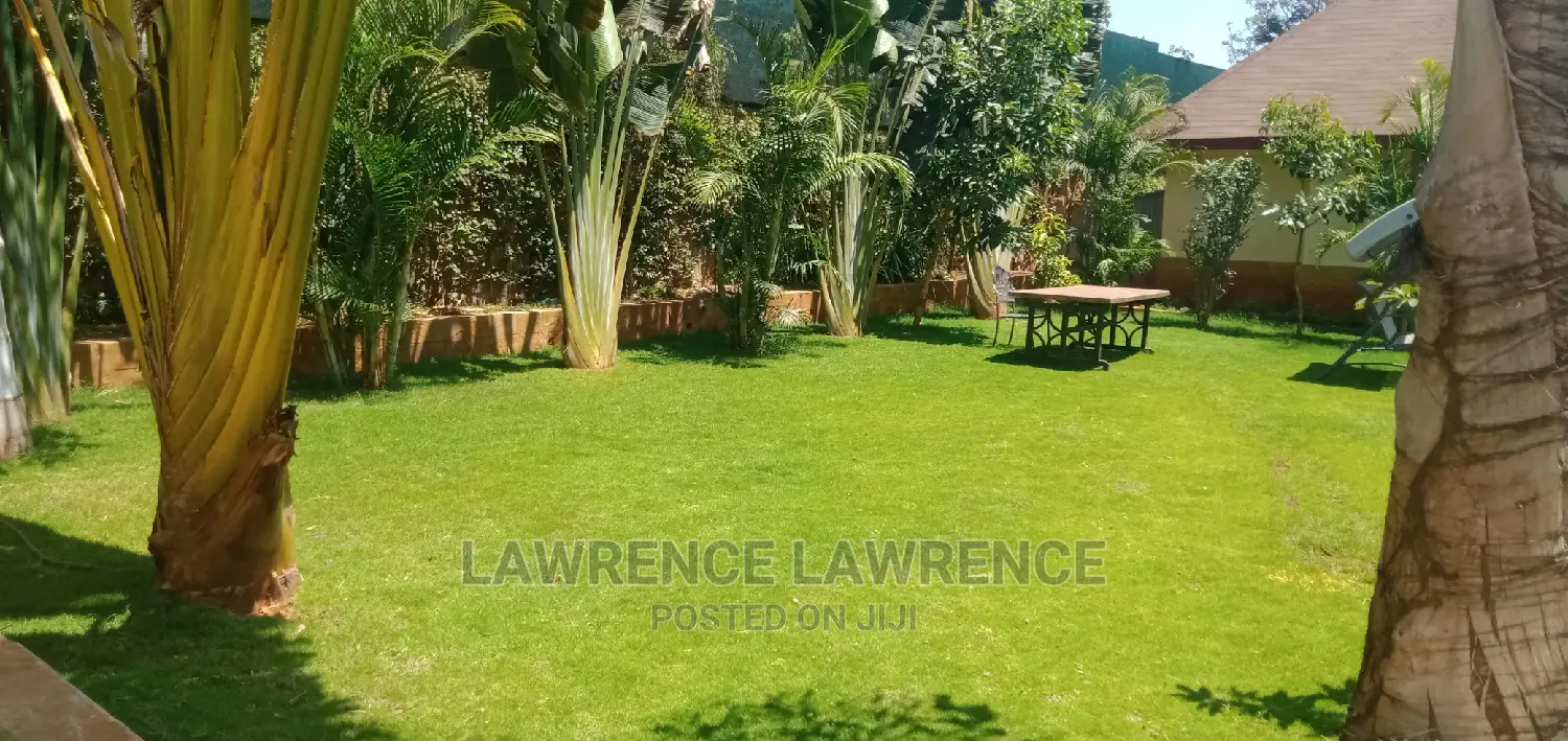 Racecourse Landscapers