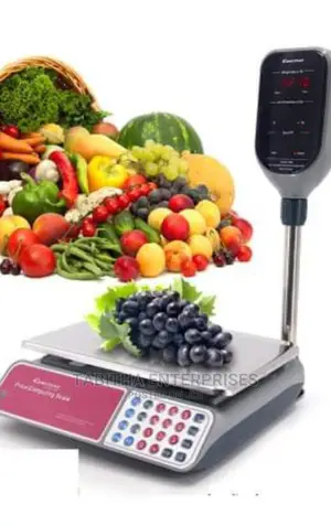 Constant Digital Weighing Scale