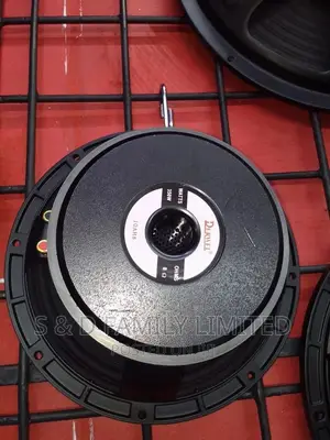 Derwel 10 Inch Naked Speaker